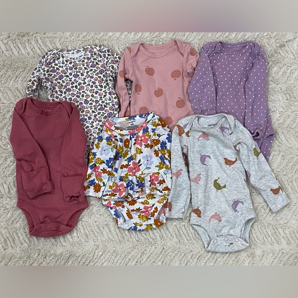 Carter's Long-Sleeved Baby Girl Onesies Set